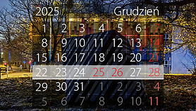 W tym tygodniu portEl poleca: Spotkanie autorskie, film świąteczny i Wigilię dla samotnych