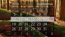 W tym tygodniu portEl poleca: Noc Bibliotek, Dni Papieskie i Marsz Amazonek W tym tygodniu portEl poleca: Noc Bibliotek, Dni Papieskie i Marsz Amazonek