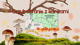 Grzybobranie z leśnikami