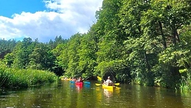 Po aferze z bonem jest nowy pomysł na turystów Po aferze z bonem jest nowy pomysł na turystów