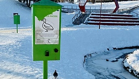 Jak to z karmieniem kaczek bywa Jak to z karmieniem kaczek bywa