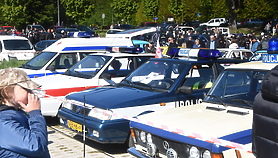 Klasyka motoryzacji pod Górą Chrobrego