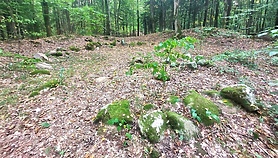 Piórkowo 