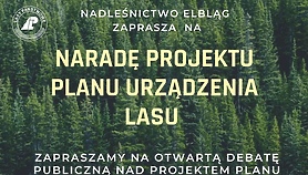 Leśnicy zapraszają na debatę publiczną Leśnicy zapraszają na debatę publiczną