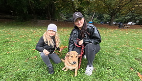 Listopad na spacerze ze schroniskowym psem