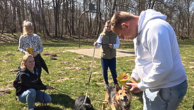 Majowy Bieg na 6 łap