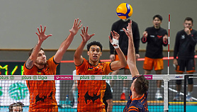 Nietoperze nie doleciały do punktów Nietoperze nie doleciały do punktów