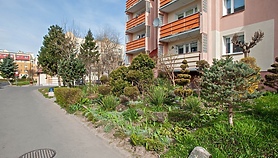 Mieszkańcy: Pielęgnowaliśmy to trzydzieści lat, teraz spółdzielnia każe wszystko usunąć