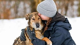 Mroźna zima w schronisku. Apel o pomoc!
