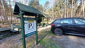 Wracają opłaty za leśne parkingi