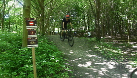 Powstały trasy dla miłośników MTB