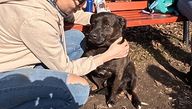 Przed nami kwietniowy Bieg na 6 łap