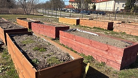 Zasiej, pielęgnuj, a potem ciesz się plonami