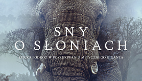Sny o słoniach w Kinie Światowid