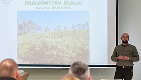 Co i jak chronić w lesie przed wycinką. Mieszkańcy mieli głos