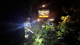 Szynobus uderzył w drzewo leżące na torach Szynobus uderzył w drzewo leżące na torach