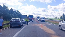 Trzy samochody zderzyły się na S7. Do kolizji przyczynił się łabędź Trzy samochody zderzyły się na S7. Do kolizji przyczynił się łabędź