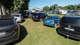 Uroki pływania, bóle parkowania 
