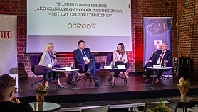 Subregion elbląski, czyli lepiej razem niż osobno 