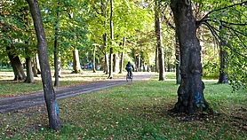 Tu wycinki nie będzie