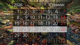 W tym tygodniu portEl poleca: Dni Elbląga i Truso Fest W tym tygodniu portEl poleca: Dni Elbląga i Truso Fest