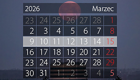 W tym tygodniu portEl poleca: wernisaż, biegi i basen