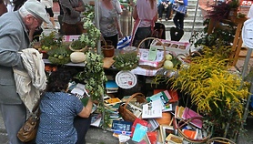 Pasja i pomysłowość, czyli co piszczy w WMBP w Elblągu