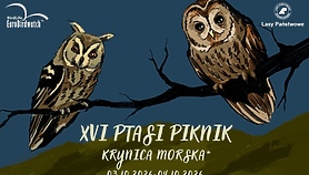 XVI Ptasi Piknik w Krynicy Morskiej XVI Ptasi Piknik w Krynicy Morskiej