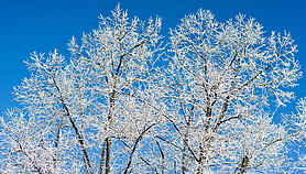 Za to natura słono zapłaci