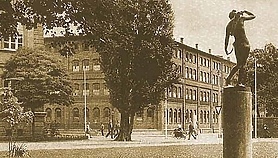 Budżet obywatelski: zagłosuj na Dianę 