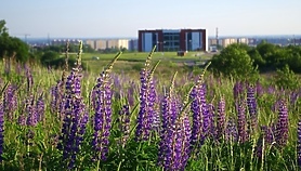 Modrzewina. Co dalej z tymi działkami?