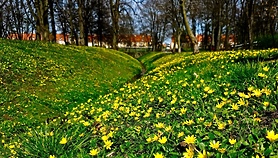 Miasto gra w zielone Miasto gra w zielone
