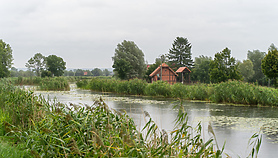 Trzydzieści milionów na ochronę Żuław Trzydzieści milionów na ochronę Żuław