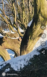 Elbląg w rolce. Sprawdź, kto wygrał konkurs