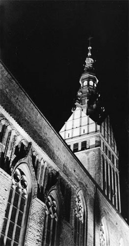 Nocne zdjęcie katedry św. Mikołaja
