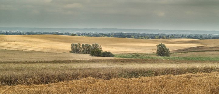 Po żniwach (Wrzesień 2010)