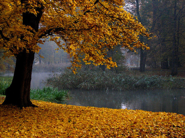 O poranku (Październik 2010)