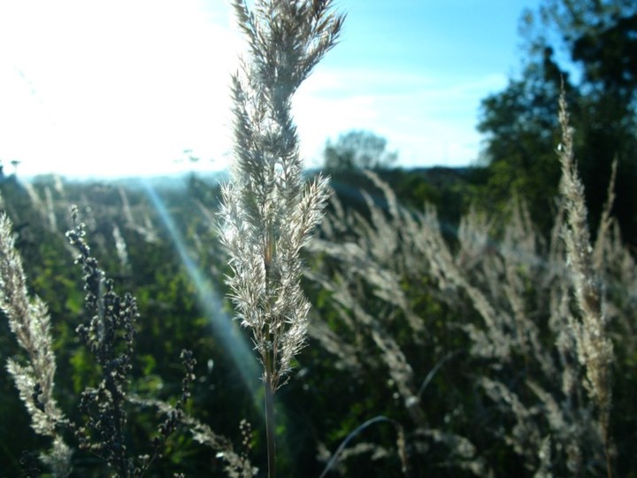 Jesienią na górze Bismarca (Listopad 2010)