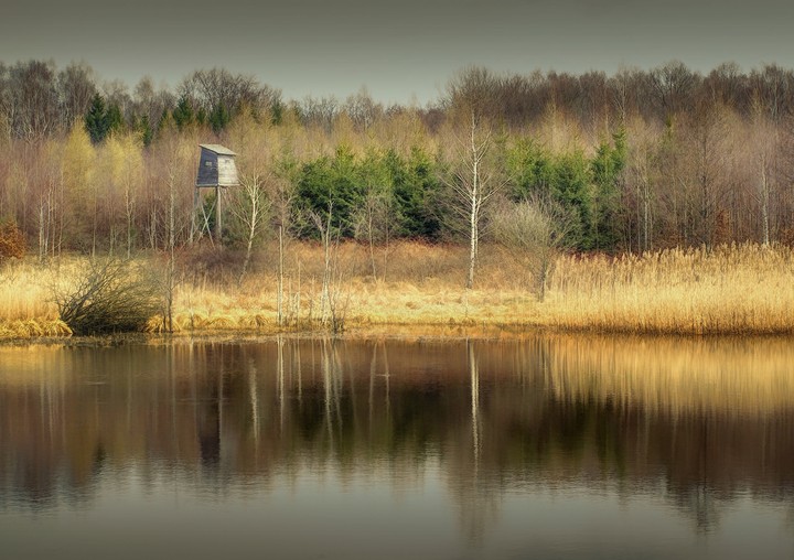 Czatownia "BuryWilk" (Grudzień 2010)