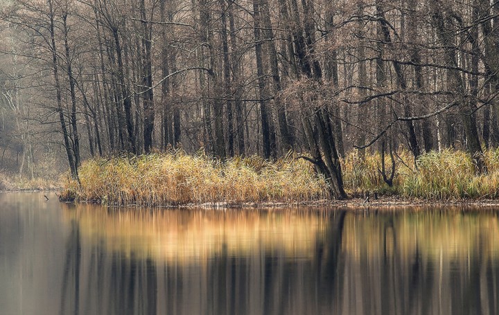 "Ostatnie blaski jesieni" - Jezioro Pierzchalskie (Grudzień 2010)