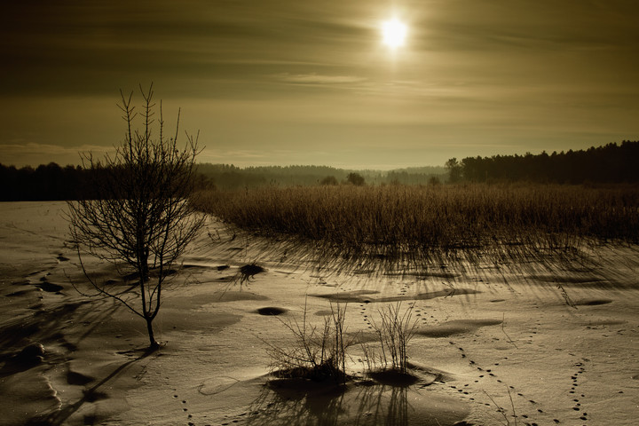 Zimowe popołudnie. (Grudzień 2010)