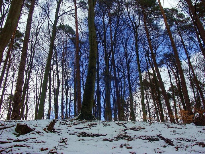 biało niebiesko w Bażantarni