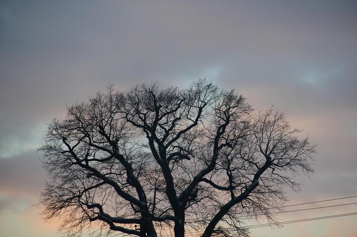 Mroźnie (Styczeń 2011)