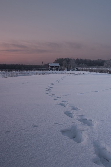 Dokąd prowadzi...? (Styczeń 2011)