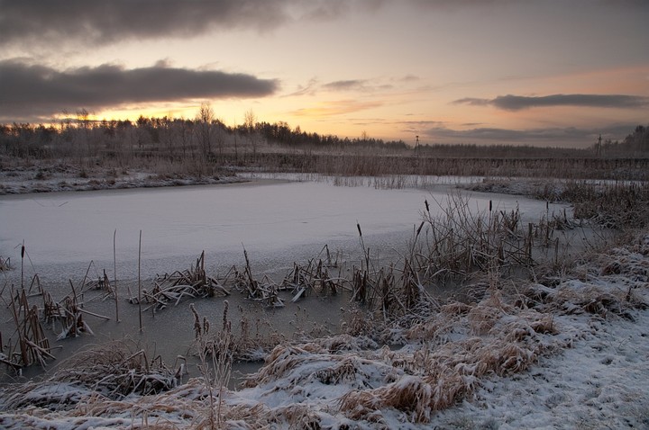 Poranek (Styczeń 2011)