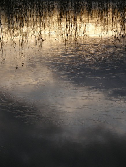 Lód na niebie (Styczeń 2011)