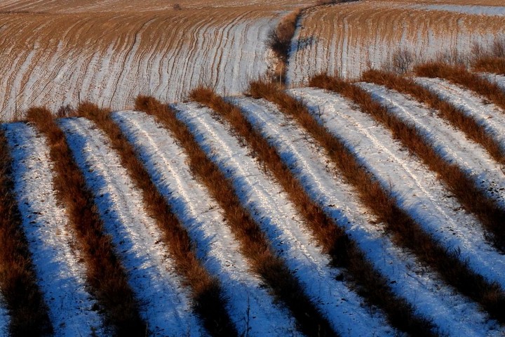 Uczesane pola (Luty 2011)