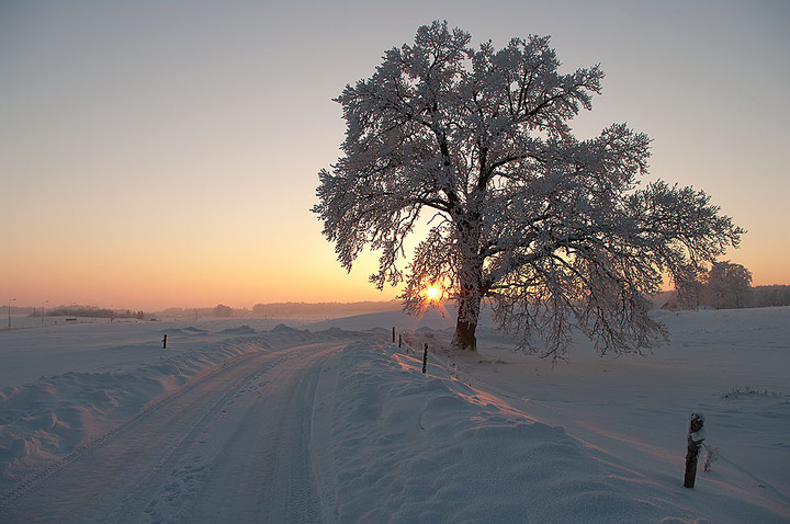 Ostatni błysk. (Luty 2011)