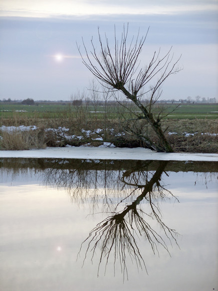 Żuławy po odwilży. (Luty 2011)