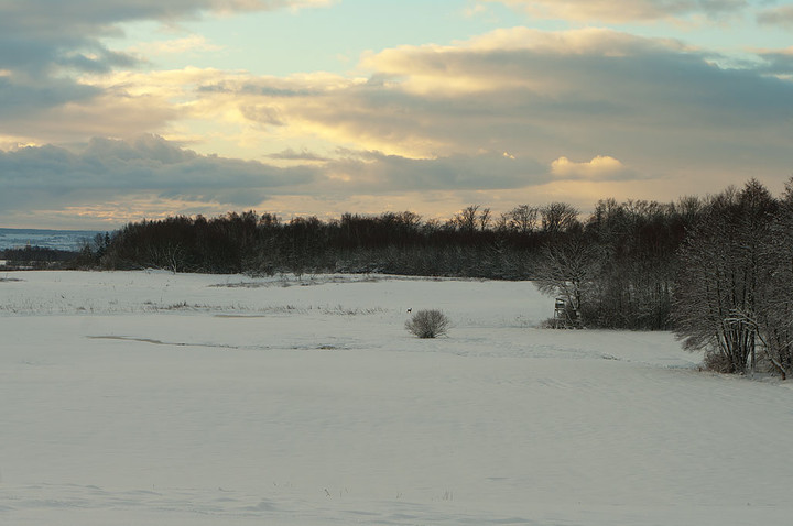 Sarenka (Marzec 2011)